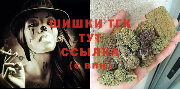 гашик Краснослободск