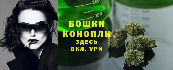 гашик Краснослободск