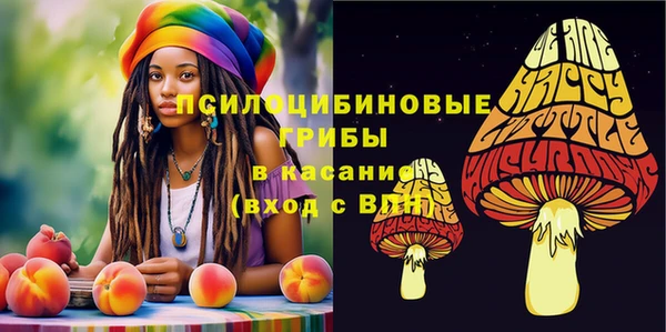амф Краснотурьинск