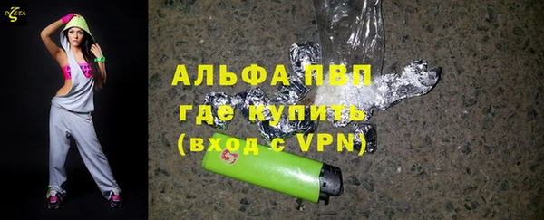 гашик Краснослободск