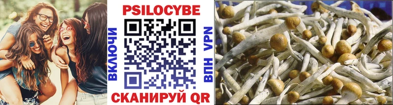 Псилоцибиновые грибы GOLDEN TEACHER  Купить  Ртищево 